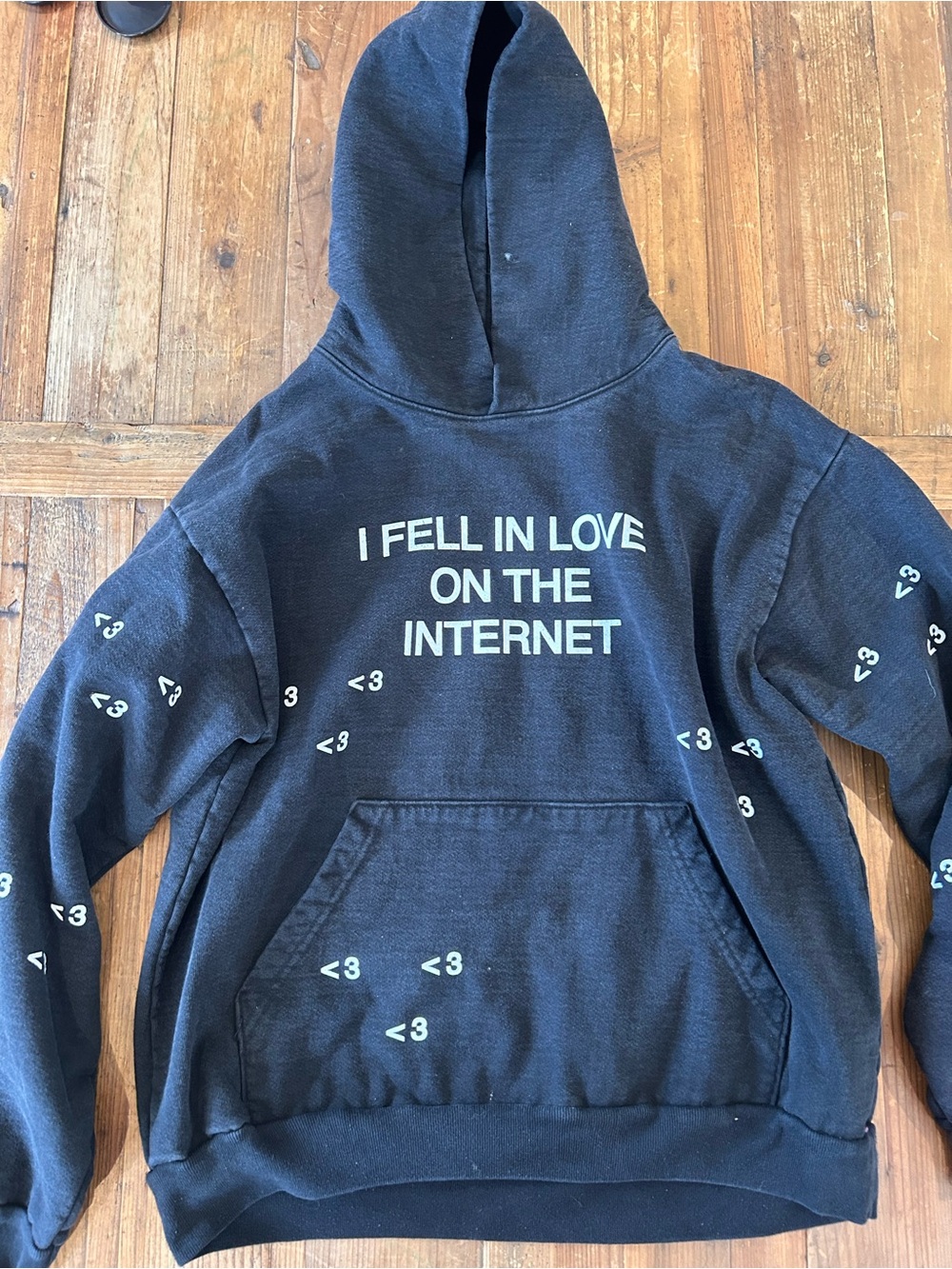 Rare Heavy Weight Hoodie with "I Fell In Love On The Internet" Graphic